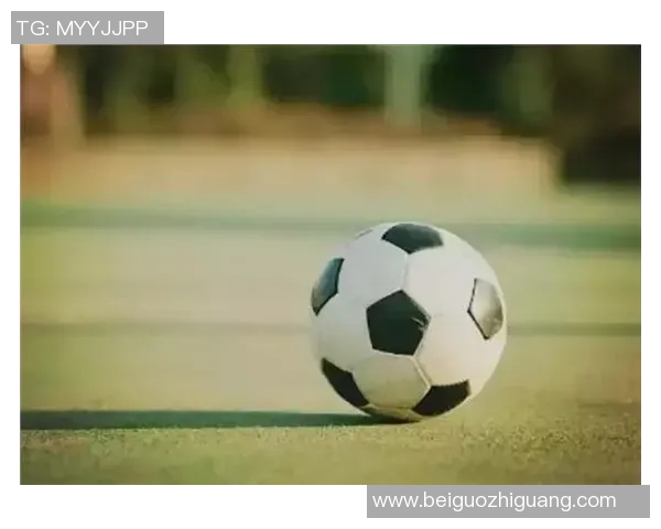 足球男孩与忠犬的奇妙冒险故事展现友情与梦想的力量